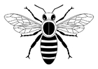 Coloring pages bee