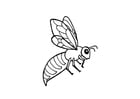 Coloring pages bee