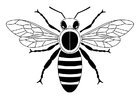 Coloring pages bee