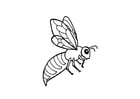 Coloring page bee