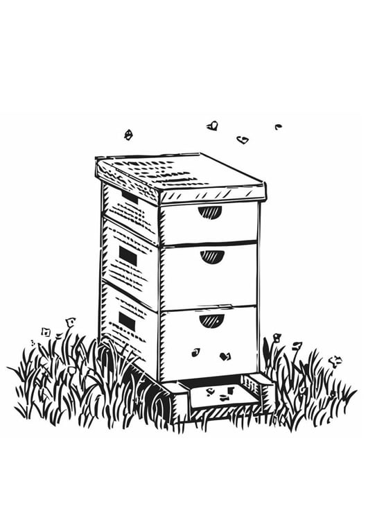 Coloring page beehive