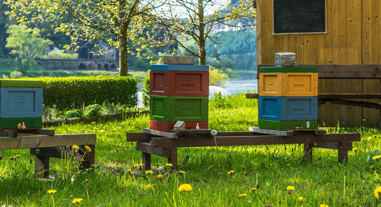 Coloring page beehives