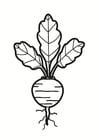 Coloring page beet