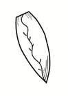 Coloring page Belgian endive