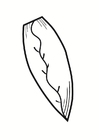 Coloring pages Belgian endive