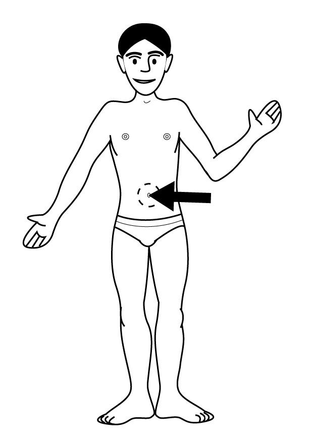 Coloring page belly button