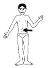 Coloring page belly button