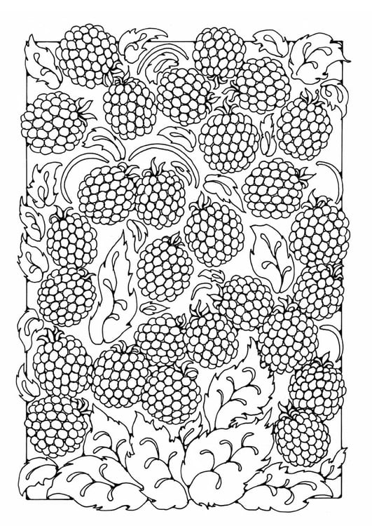 Coloring page berries