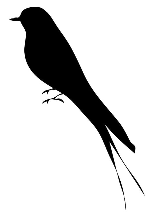 Coloring page bird