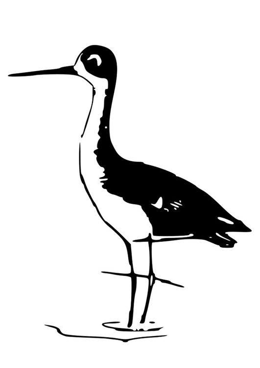 Coloring page bird