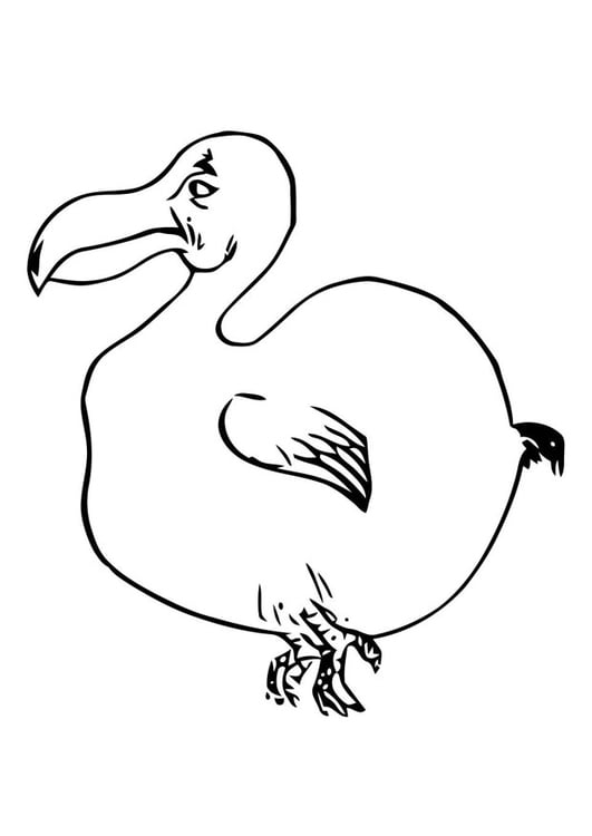 Coloring page bird - dodo