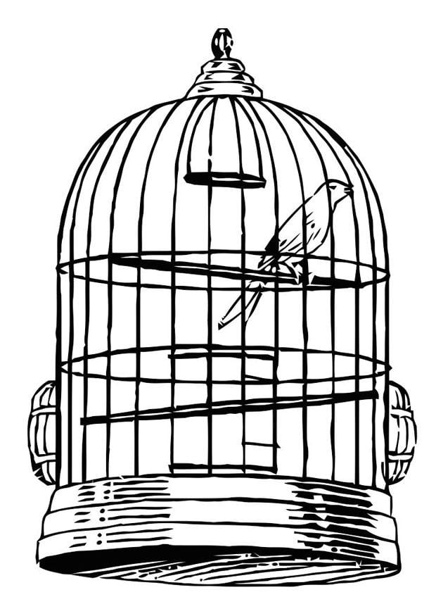 Coloring page bird in a cage
