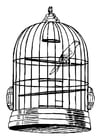 Coloring page bird in a cage