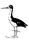 Coloring pages bird