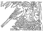 Coloring page bird with nest