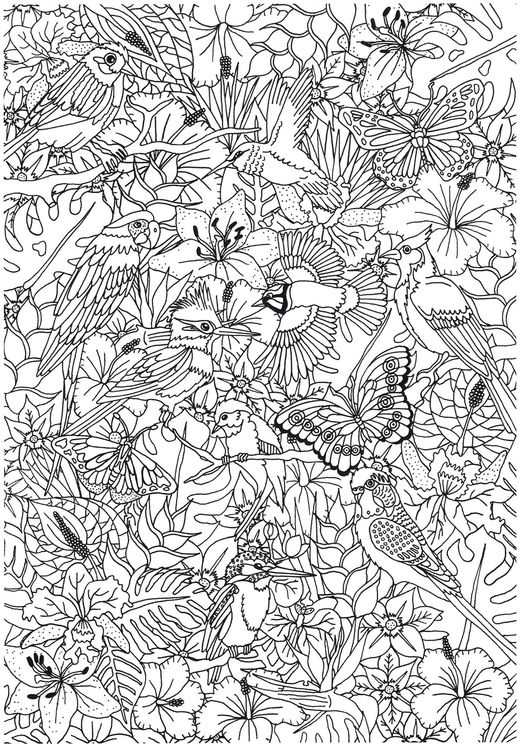 Coloring page birds