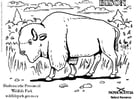 Coloring page bison
