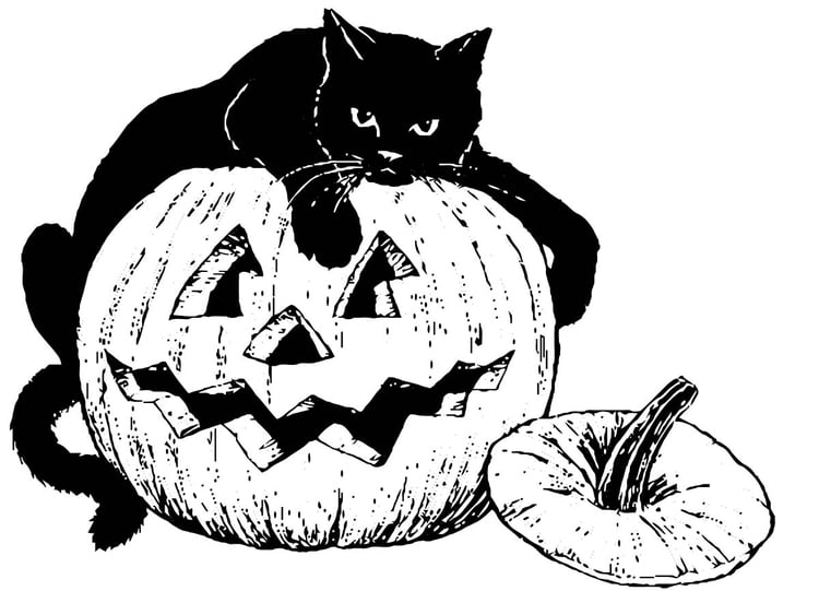 Coloring page black cat on pumpkin
