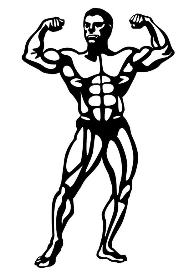Coloring page body building