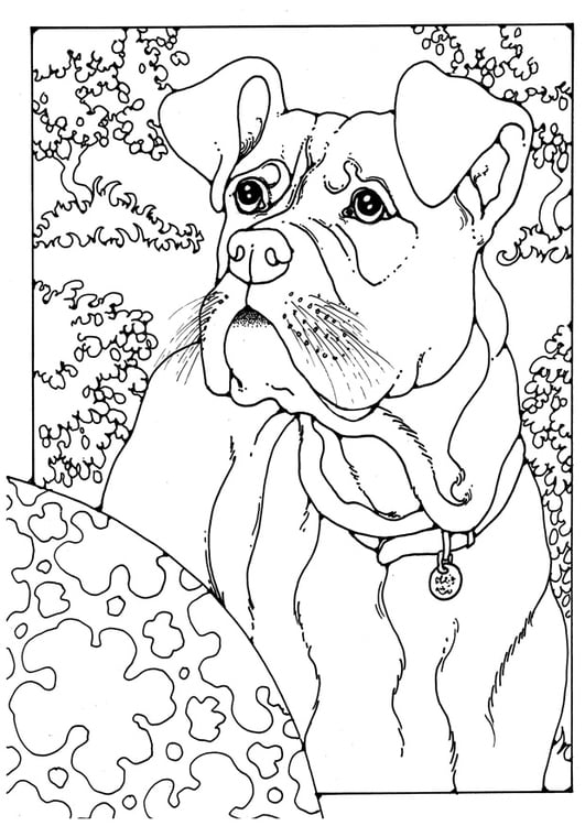Coloring page boxer