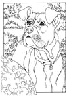 Coloring page boxer