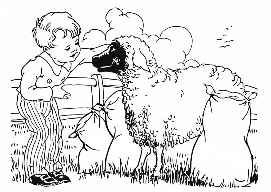 Coloring page boy with sheep