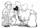 Coloring pages boy with sheep