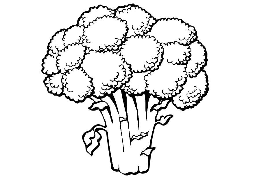 Coloring page broccoli