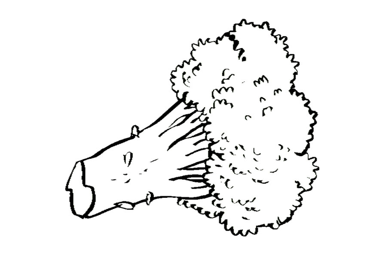 Coloring page broccoli