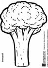 Coloring page broccoli