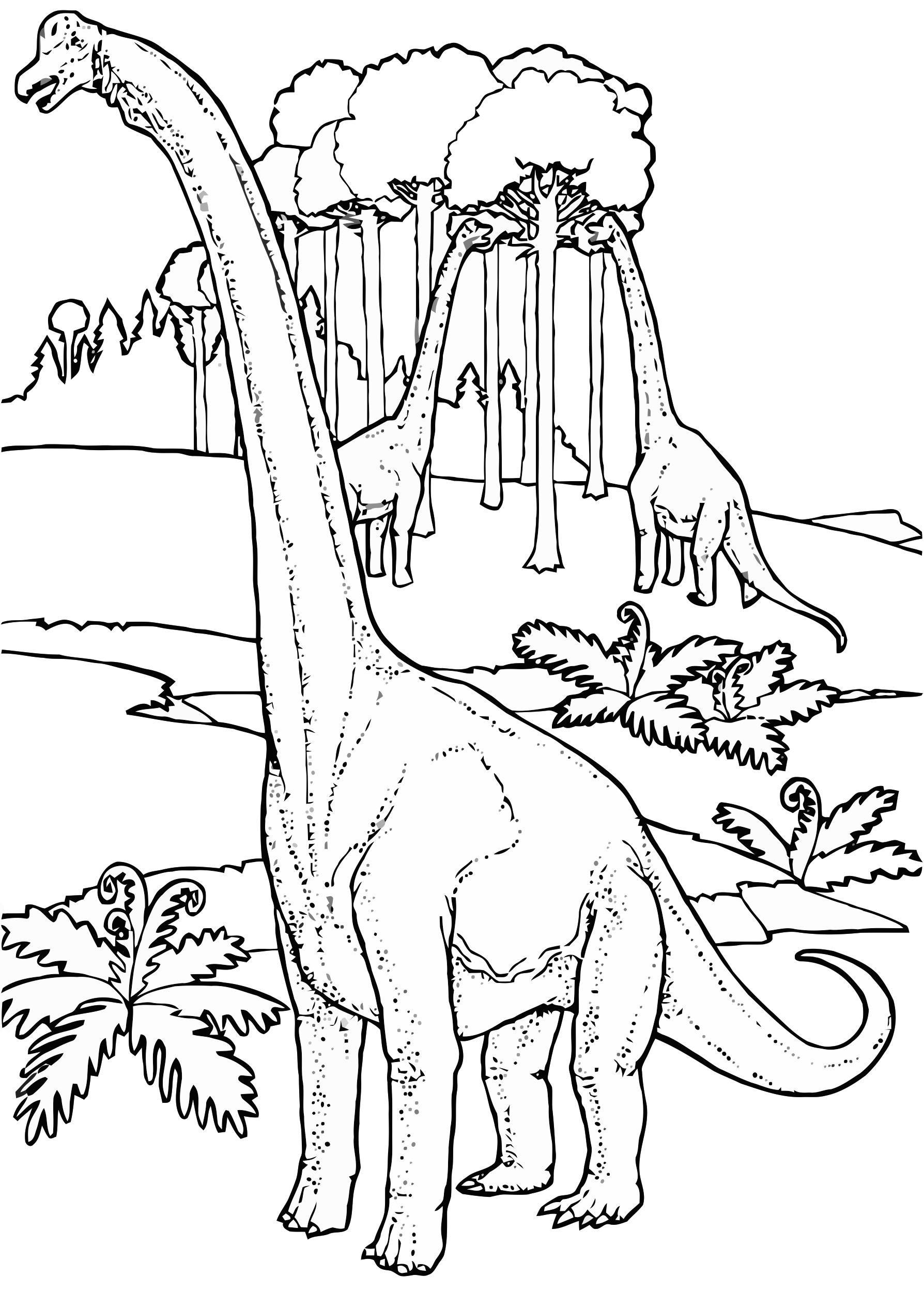 Coloring page brontosaurs