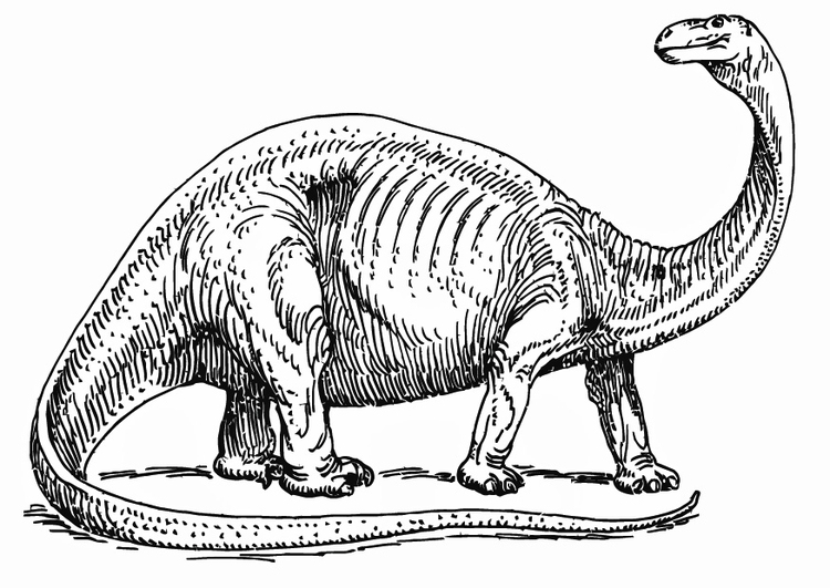 Coloring page brontosaurus