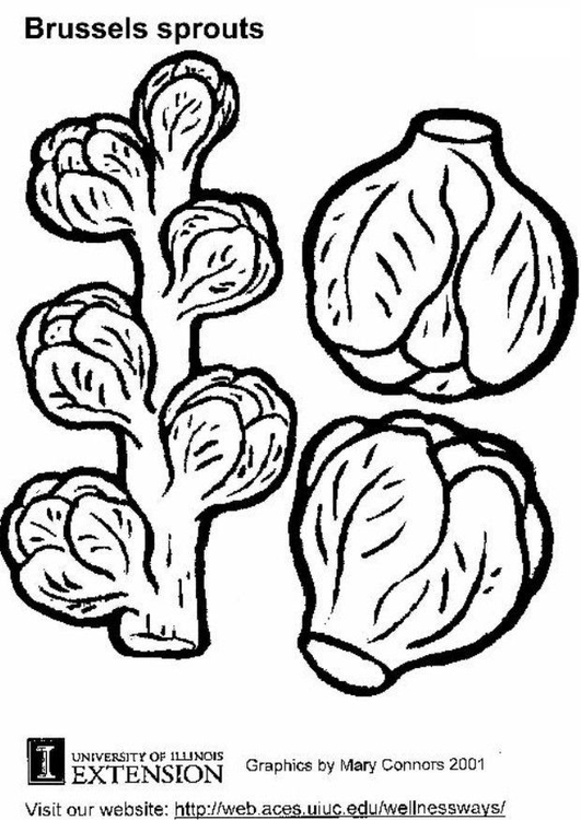 Coloring page brussels sprouts