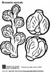Coloring page brussels sprouts