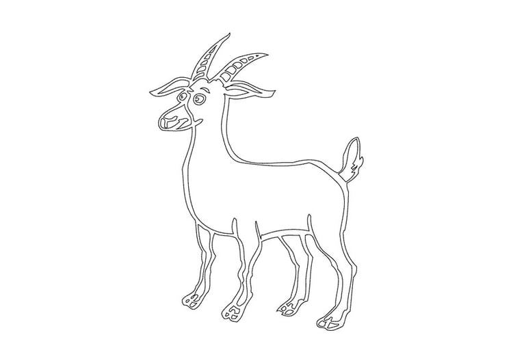 Coloring page buck