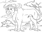 Coloring page buffalo