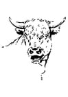 Coloring page bull