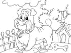 Coloring page bulldog