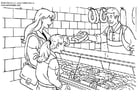 Coloring pages butcher´s shop