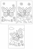 butterflies in the garden