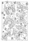 Coloring page butterflies