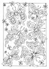 Coloring pages butterflies