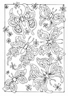 Coloring pages butterflies