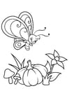 Coloring pages butterfly above flower and pumpkin