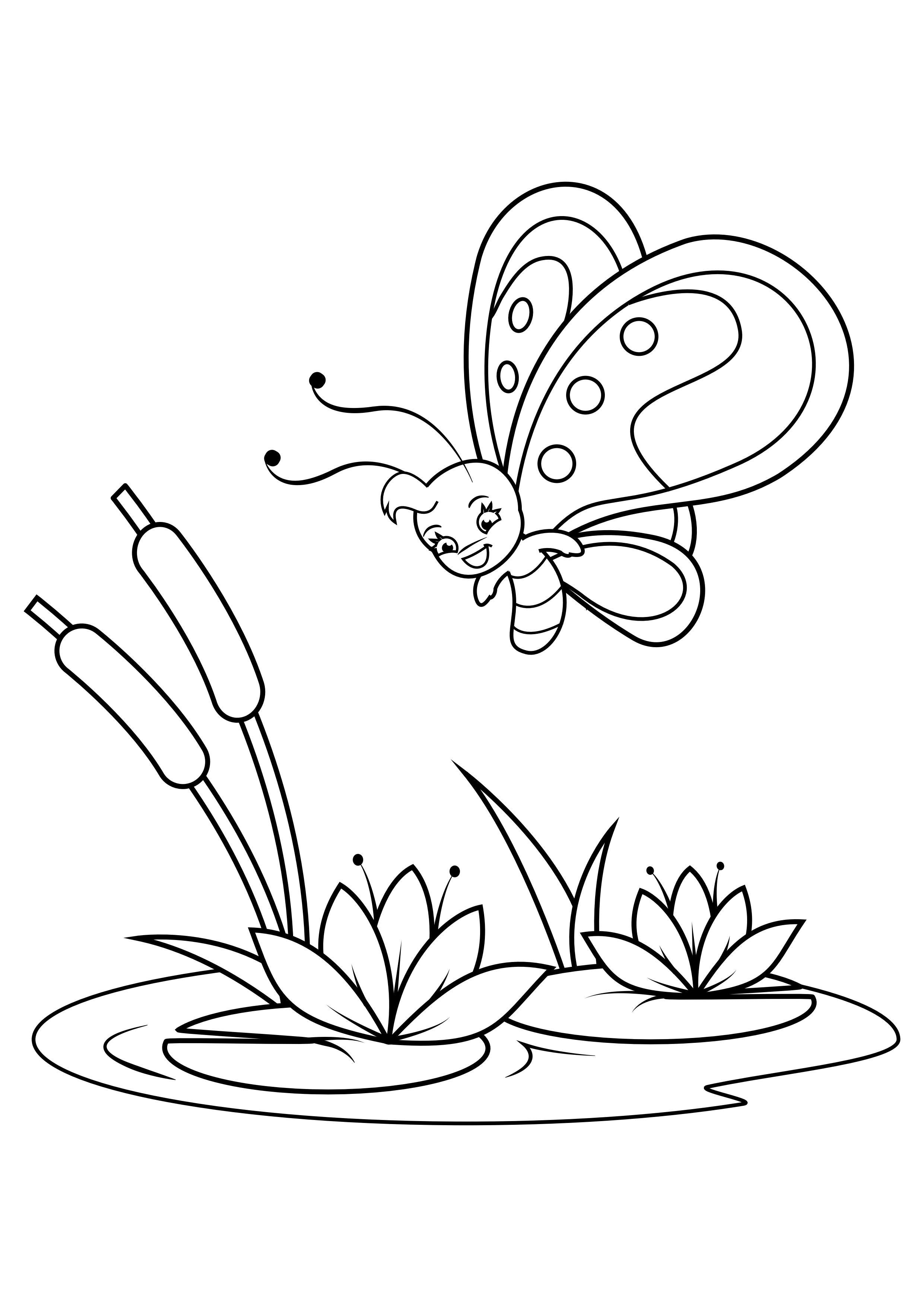 Coloring page butterfly above water lilies