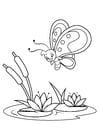 Coloring page butterfly above water lilies