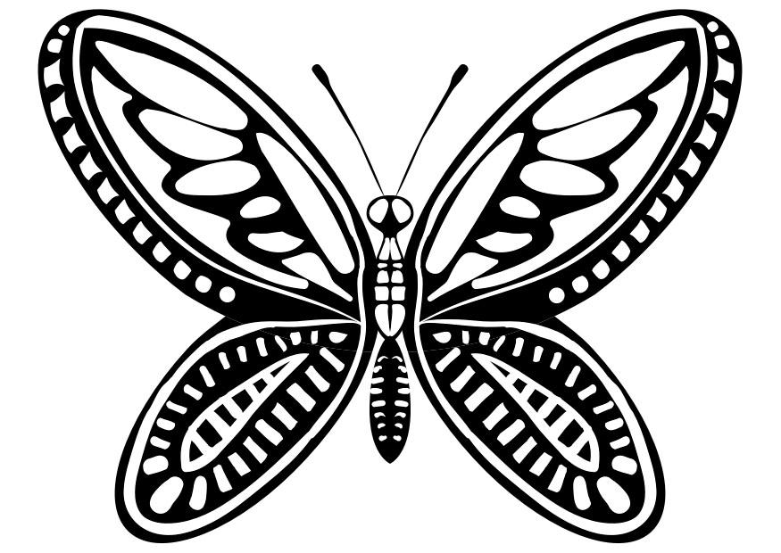 Coloring page butterfly