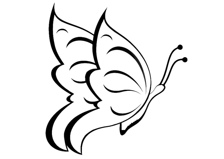 Coloring page butterfly