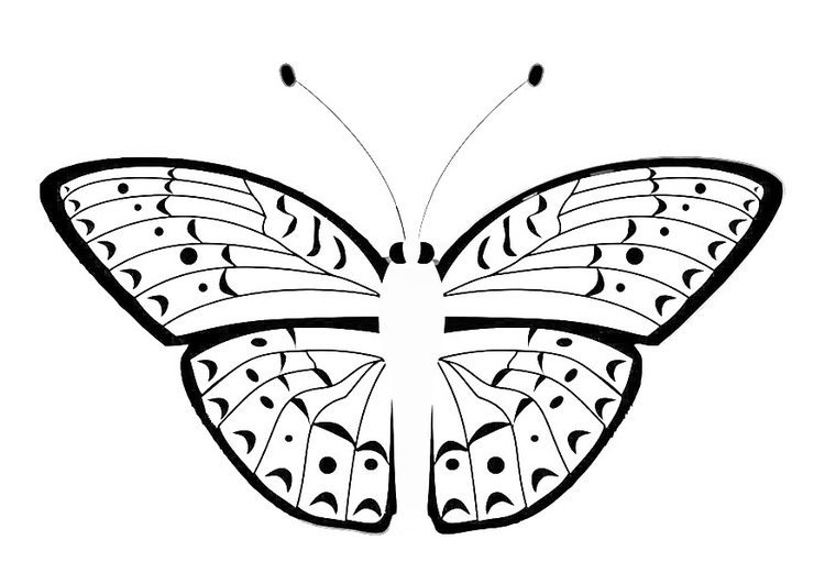 Coloring page butterfly