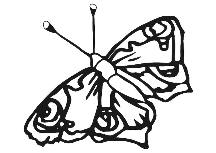 Coloring page butterfly